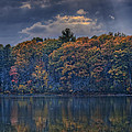 Rayons d'Automne