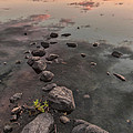 Sunset at the Pond