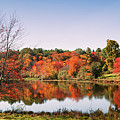 Automne sur le lac